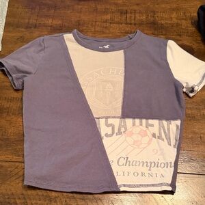 Hollister Purple and Cream Graphic Crop Top